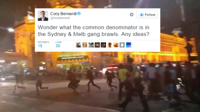 Cory Bernardi Questioned Those Crazy Brawls And Lord Did Twitter Answer