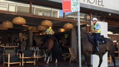 NSW Cops Channelled Your Dad To Explain The Horse-Walked-Into-A-Bar Fiasco