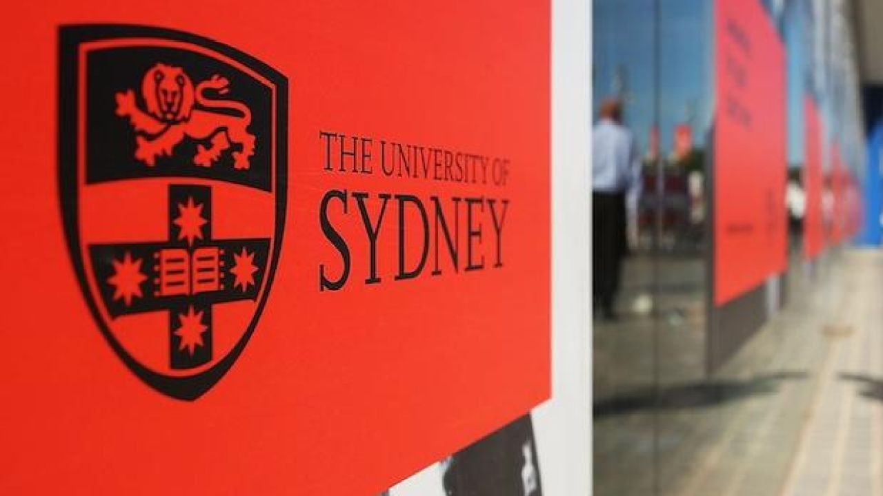 Sydney University Tutor Savaged For ‘International Student Pigs’ Tirade