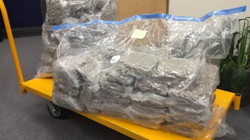 QLD Cops Celebrated 4/20 By Seizing $2.5 Million Worth Of Cannabis