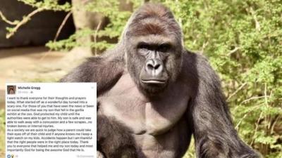 Mum Fires Back At Online Hate Over Gorilla’s Death, Says “Accidents Happen”