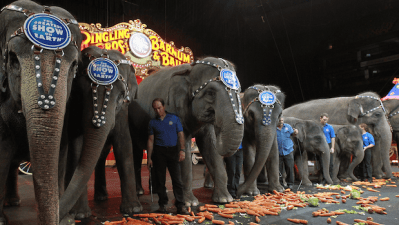 Ringling Bros Circus Realises It’s 2016, Retires Famous Live Elephant Show