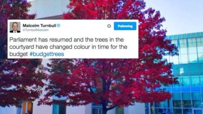 Malcolm Turnbull Posted A Pic Of #BudgetTrees & The People Want Blood