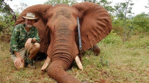 Alrighty Then: NSW MP Admits He Shot And Ate An Elephant In Zimbabwe