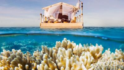 BUOY-O-BUOY: Airbnb Is Renting A Floating Bedroom On The Great Barrier Reef