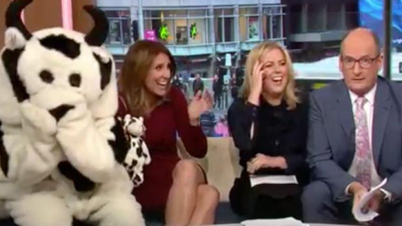 WATCH: Kochie Tells Viewer Who Thought She Was On TODAY To “Get Stuffed”
