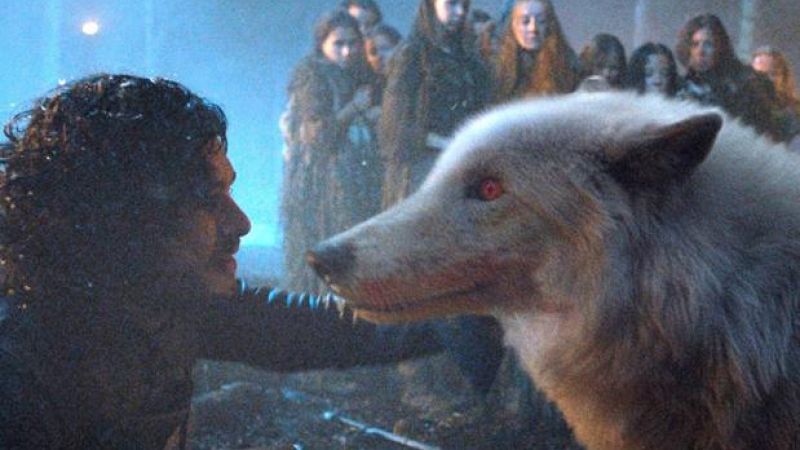 ‘GoT’ Director Explains WTF Was Up With Ghost’s No-Show In Last Episode