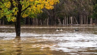 Launceston Is On High Alert As Flood Continues To Tear Through Tassie