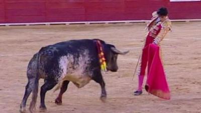 Spanish Matador Victor Barrio Gored To Death By Bull On Live Television