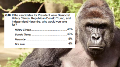 Legit Poll Shows Some Voters Want Harambe (The Ape Who Died) For President
