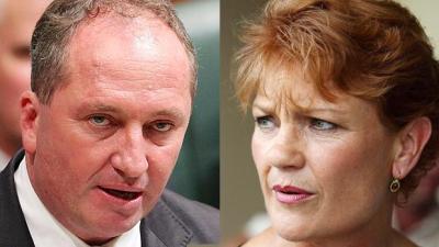 Barnaby Joyce Takes Break From Plotting Dog Murder To Slam Pauline Hanson