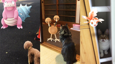 There’s Proof Pets Can See Pokémon & We Will Hear None Of Your “Logic”