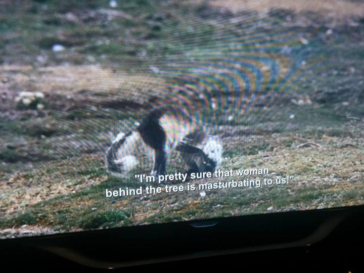 Aziz Ansari Subtitles On A Nature Doco Are The Gift That Keeps On Giving