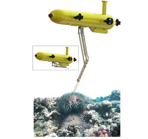 Poisonous Starfish-Nuking Robots & Other Aussie Innovations Up For Awards