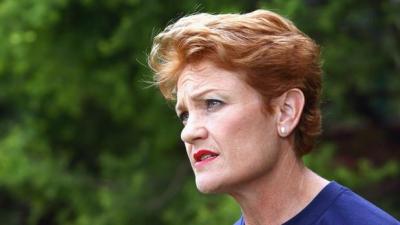 JFC, A New Poll Reckons 49% Of Aussies Support Pauline Hanson’s Muslim Ban