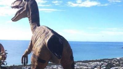 Dinosaur Nicked From QLD Music Fest 2 Years Ago Shows Up On Top Of Mountain