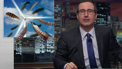 WATCH: John Oliver’s Overdue Takedown Of Birds Is Our Revenge For Magpies