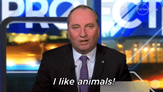 Barnaby Joyce Just Started A Beef About Beef With Fkn Morrissey Himself