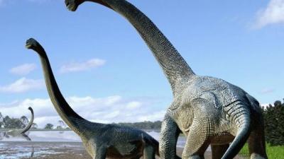 A Fuck Off Big New Dino Species Has Been Discovered Up In Queensland