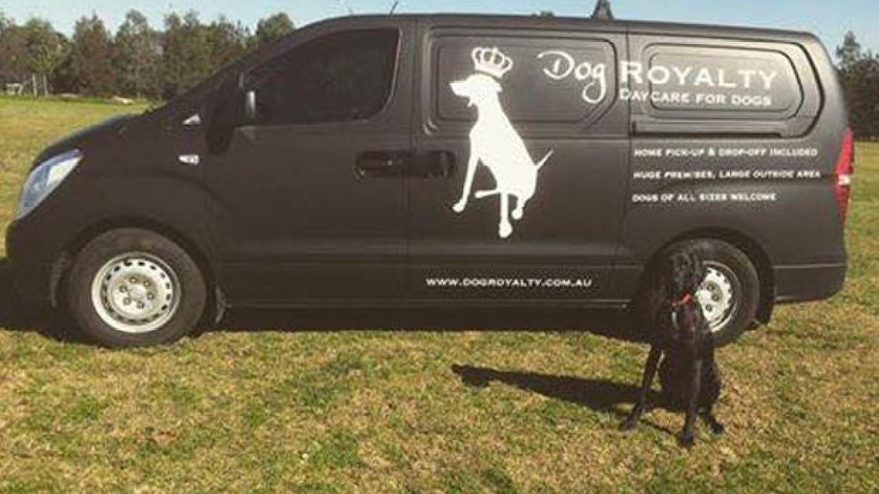 Some Mutt Stole A Sydney Dog Groomer’s Van With 3 Puppers Inside