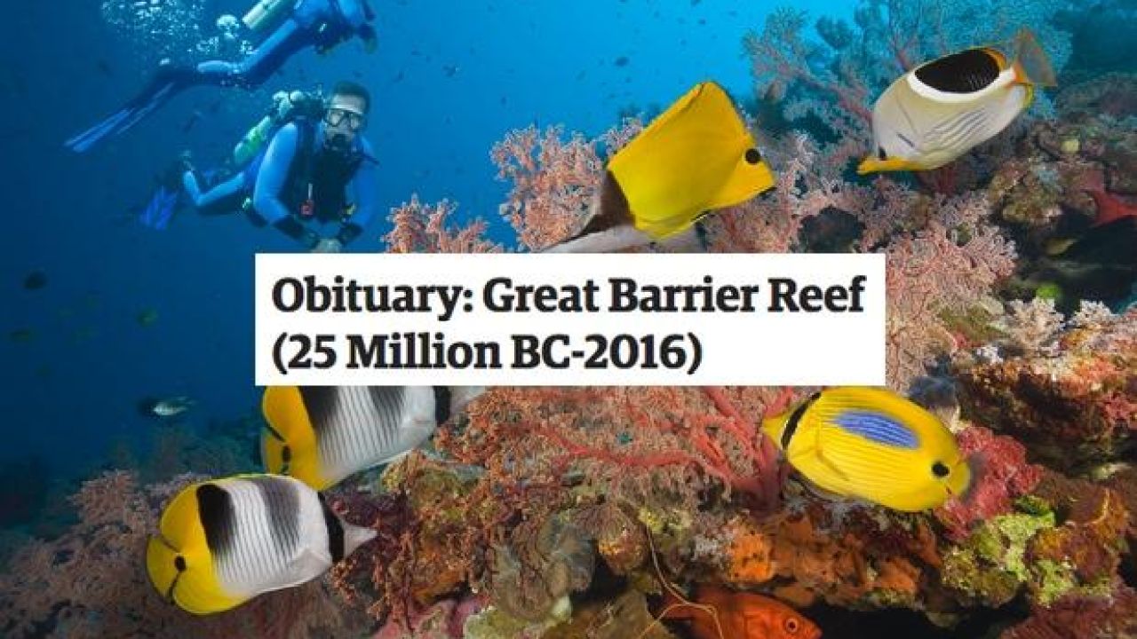 A US Mag’s Devastating Obit For The Great Barrier Reef Has Gone Super Viral