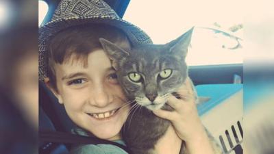 Dan Andrews’ Cat Got Found After 8 Months Missing & His Cute Fam Is Stoked