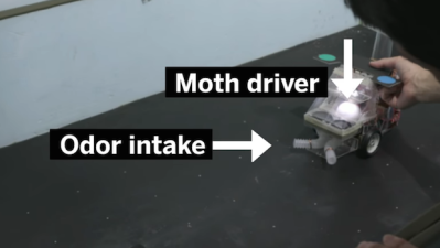 WATCH: The Future Of Tech Is This Moth Hooning Around In A Tiny Robot Car
