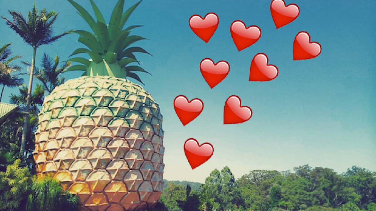 The Big Pineapple May Soon Have Glamping So You Can Prove How QLD You Are