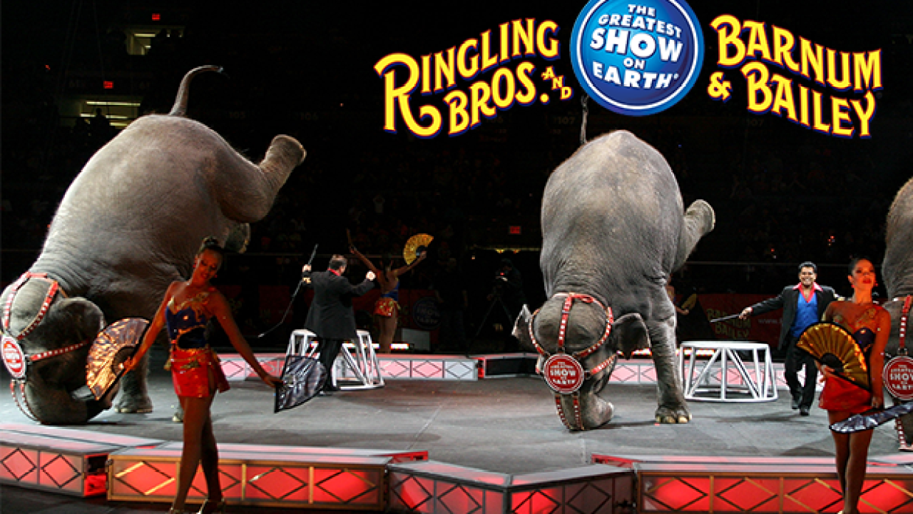 Ringling Bros AKA ‘The Greatest Show On Earth’ Calls It Quits After 146 Yrs