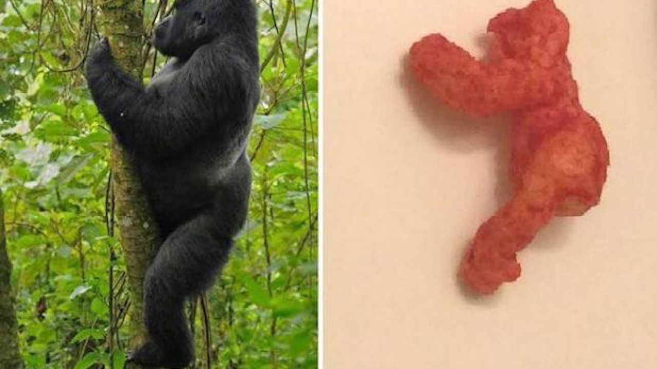 Someone Forked Out Over $130,000 For A Cheeto That Looks Like Harambe