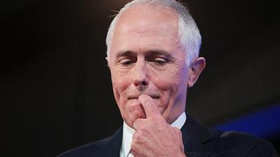 Turnbull Denies Trump Torched Him & Insists Everything Is Fine, Actually