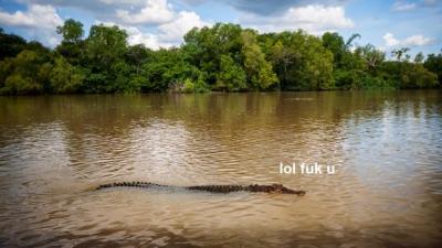 QLD Bloke Swears Up And Down He Eyed A Croc Chilling In The Brisbane River