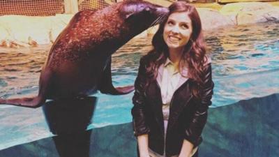 WATCH: The Bellas’ Newest Acapella Member Is This ‘Pitch Perfect’ Sea Lion