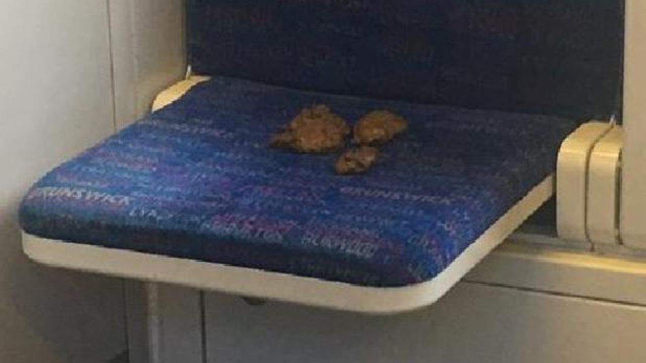 Ok, Who Dropped Their Guts On This Melbourne Train?