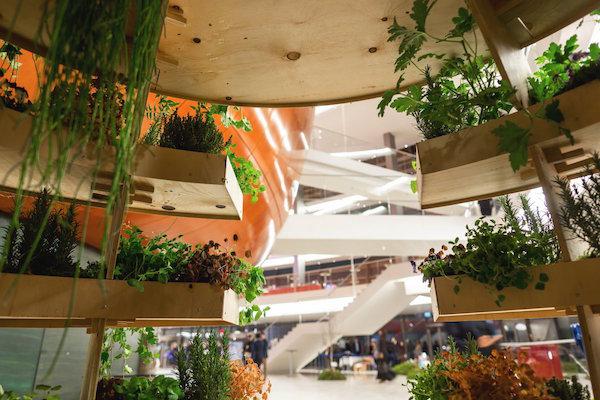 IKEA Announces Epic Flat-Pack Indoor Garden You Can Sit Inside