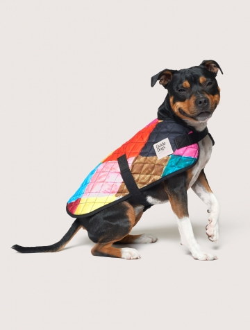 Don’t Panic, But Gorman Just Released A New Range Exclusively For Doggos