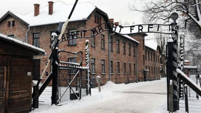Nude Activists Arrested At Auschwitz After Killing A Lamb “For World Peace”