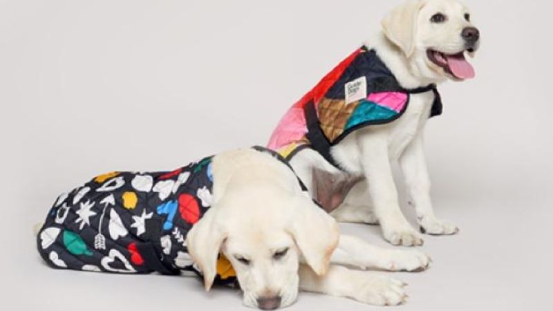 Don’t Panic, But Gorman Just Released A New Range Exclusively For Doggos