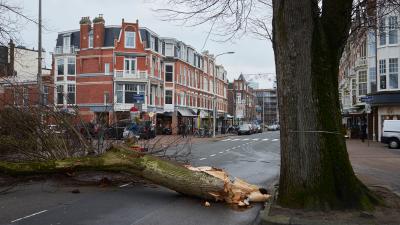 At Least Six People Have Been Killed After Extreme Winds Batter Europe