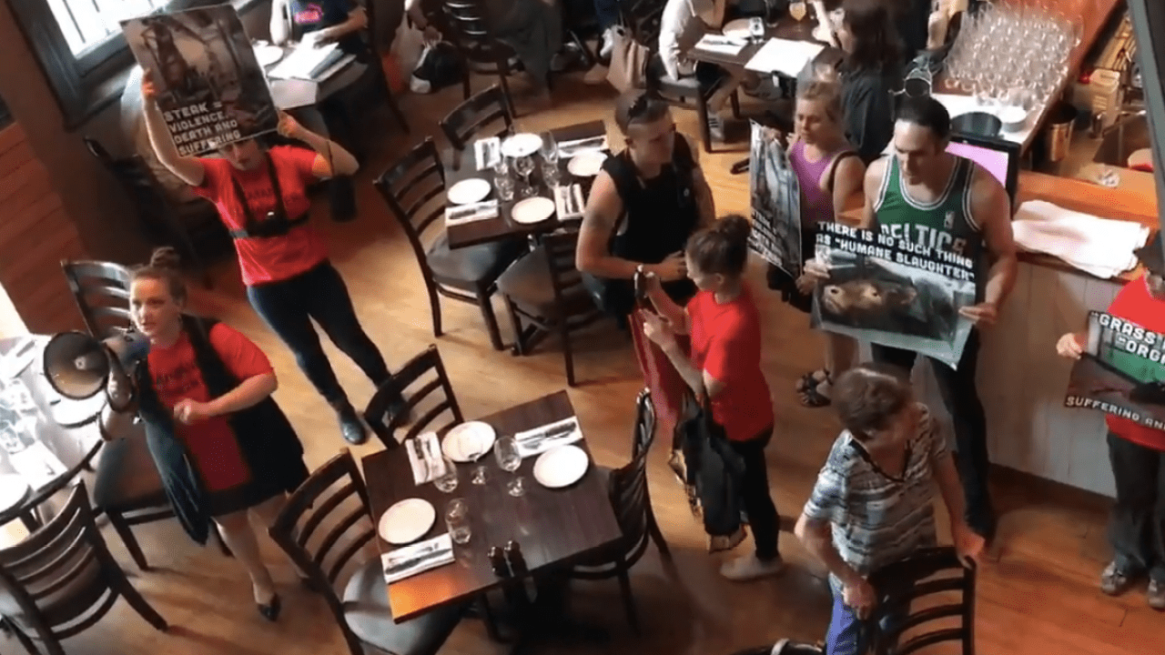 Band Of Furious Vegans Storm Melb Steakhouse On Behalf Of Cows Everywhere