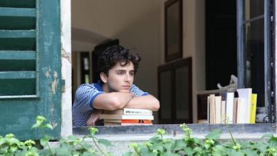 ‘Call Me By Your Name’ Director Luca Guadagnino’s Spilled Plans For A Sequel