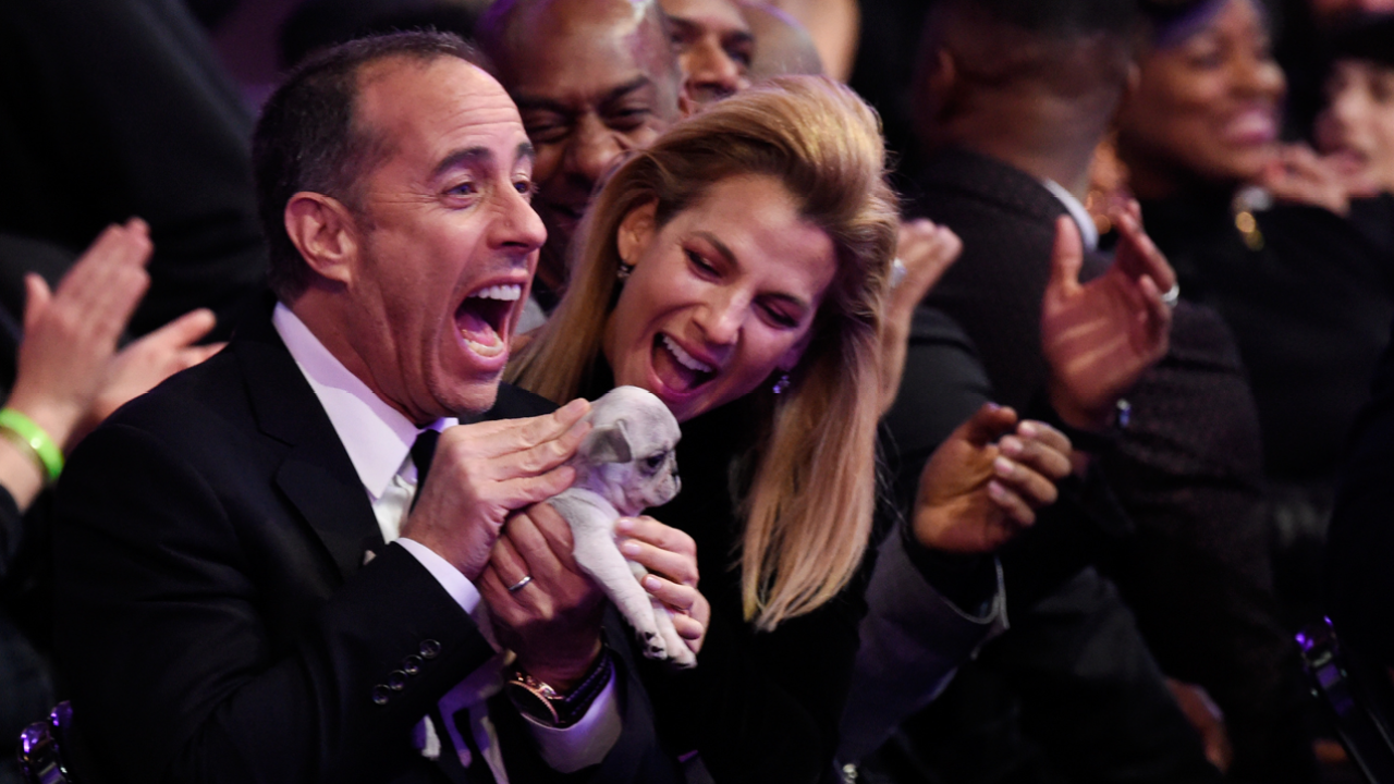 Grammy Nominees Who Didn’t Nab A Gong Were Given Consolation Puppies To Hug