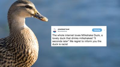 ‘Milkshake Duck’ Voted Macquarie Dictionary’s Idol-Killing Word Of The Year