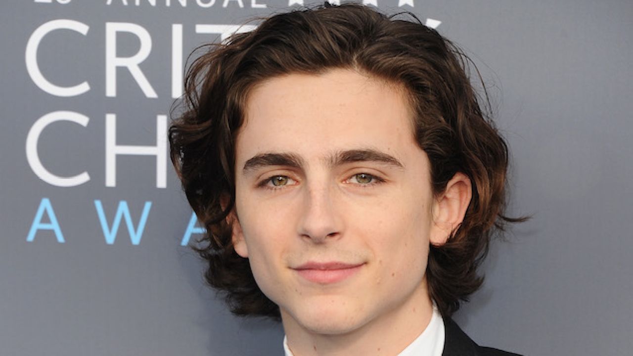 Timothée Chalamet Donating Salary From Upcoming Woody Allen Film To Charity