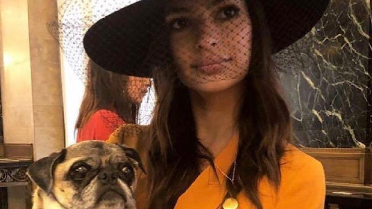 Emily Ratajkowski’s Wedding Suit Only Cost $250 & It’s Still In Stores M8s