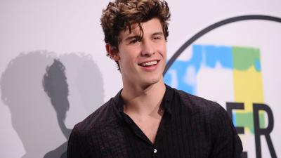 Shawn Mendes’ Fans Reckon He Looks Like A Goat & TBH We Defs See It