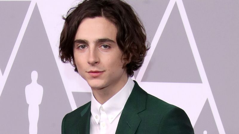 Your New Crush Timothée Chalamet Is Going To Play King Henry V On Netflix