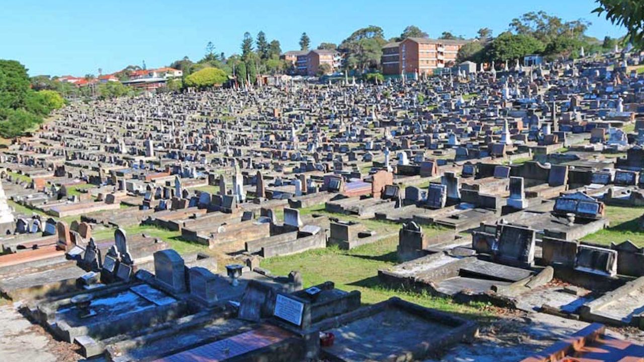 Alleged Drunk Driver Hospitalised After Ploughing Through Sydney Cemetery