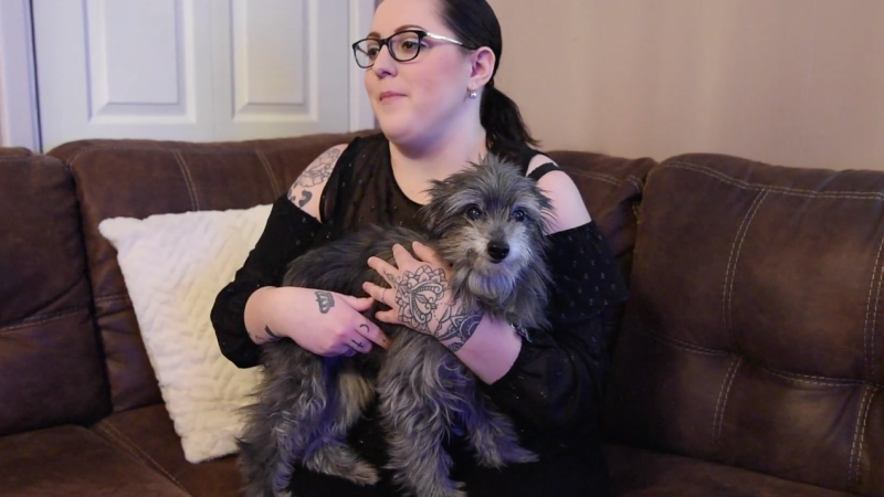 Woman Miraculously Adopted The Same Dog She Had To Give Up 7 Years Ago