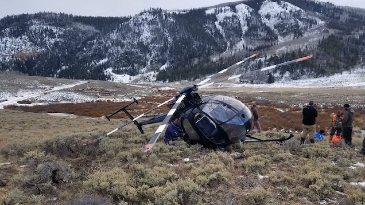 Airborne Research Helicopter Brought Down By Elk Leaping Into Tail Rotor